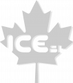 logo-gris